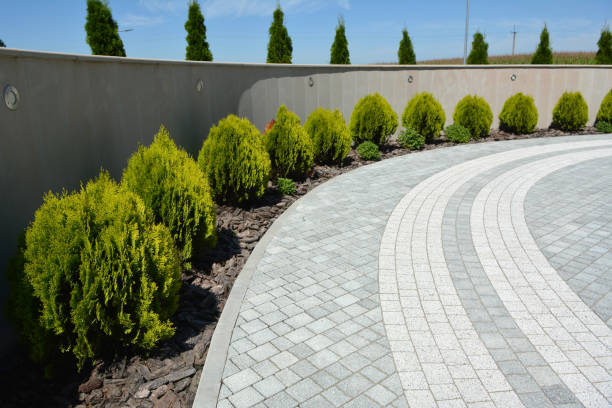 Best Commercial Driveway Pavers  in George West, TX